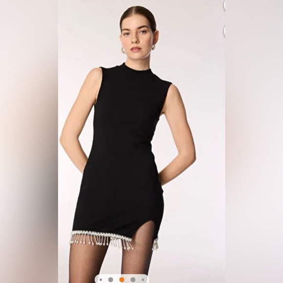 Zara Black Mini Dress with Fringe Accent - Picture 4 of 6